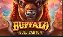 Buffalo Gold Canyon Slot im SpinBetter Casino